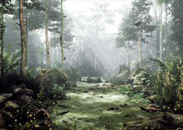 Forest Virtual Set