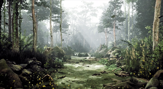 Forest Virtual Set
