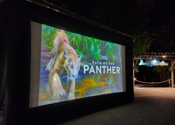 Palm Beach Zoo Movie Night - Projector Screen Rental